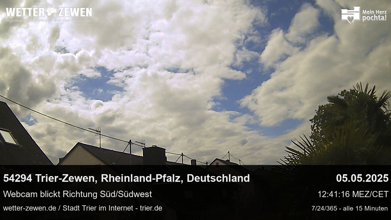 Bild
