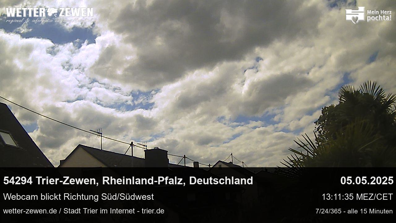 Bild