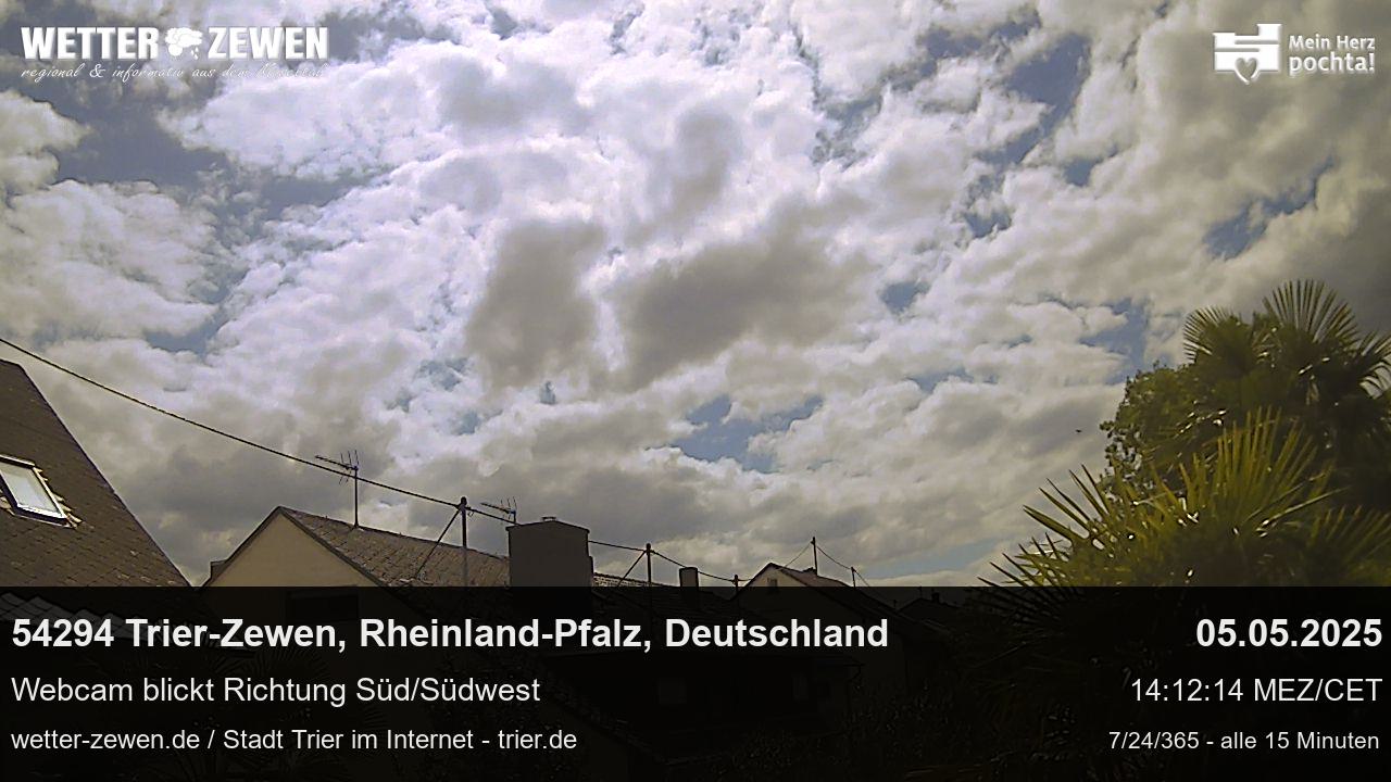 Bild