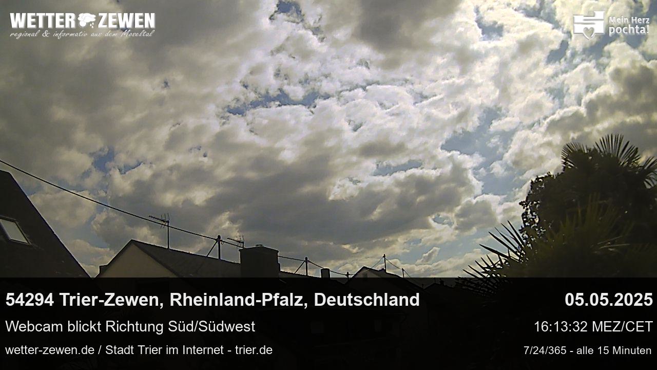 Bild