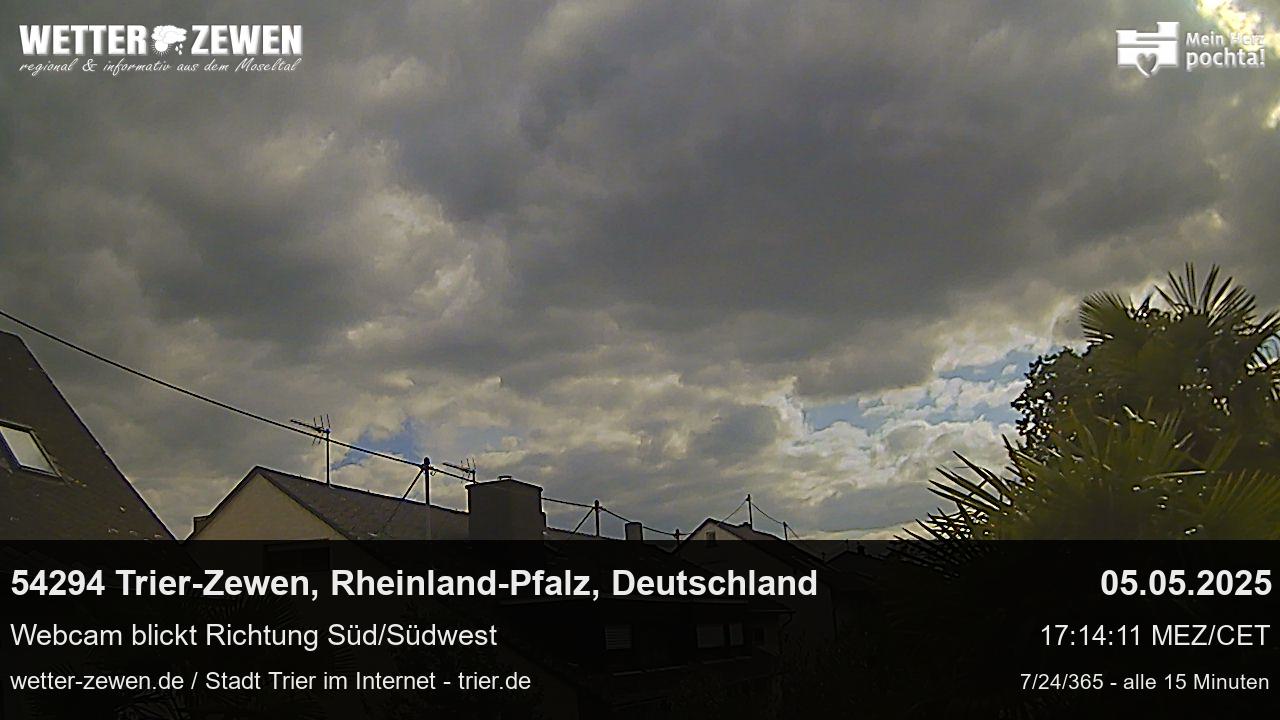 Bild