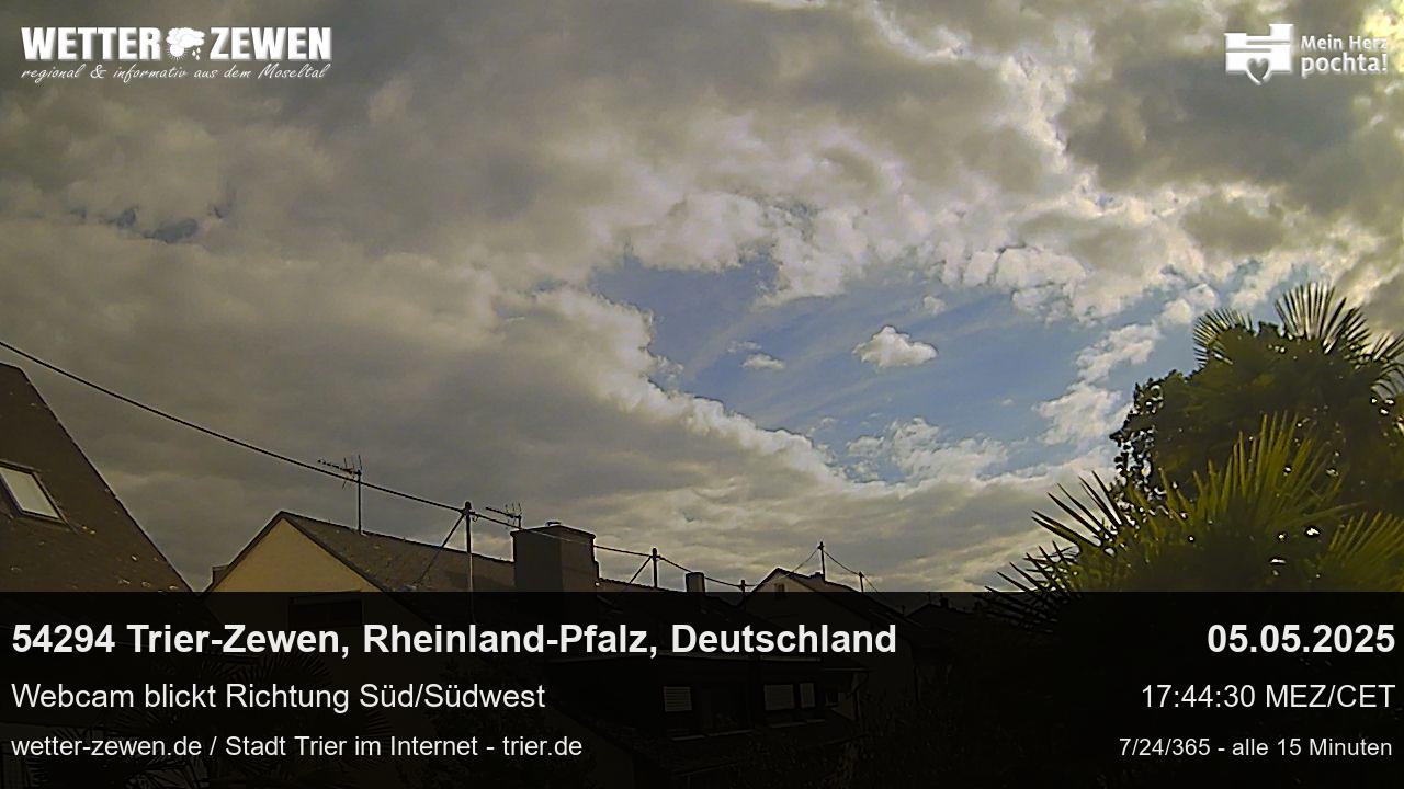 Bild