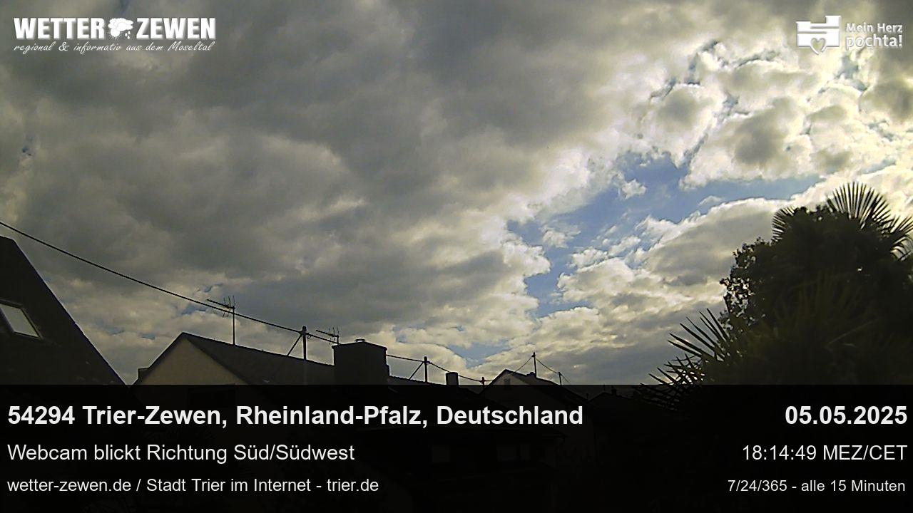 Bild