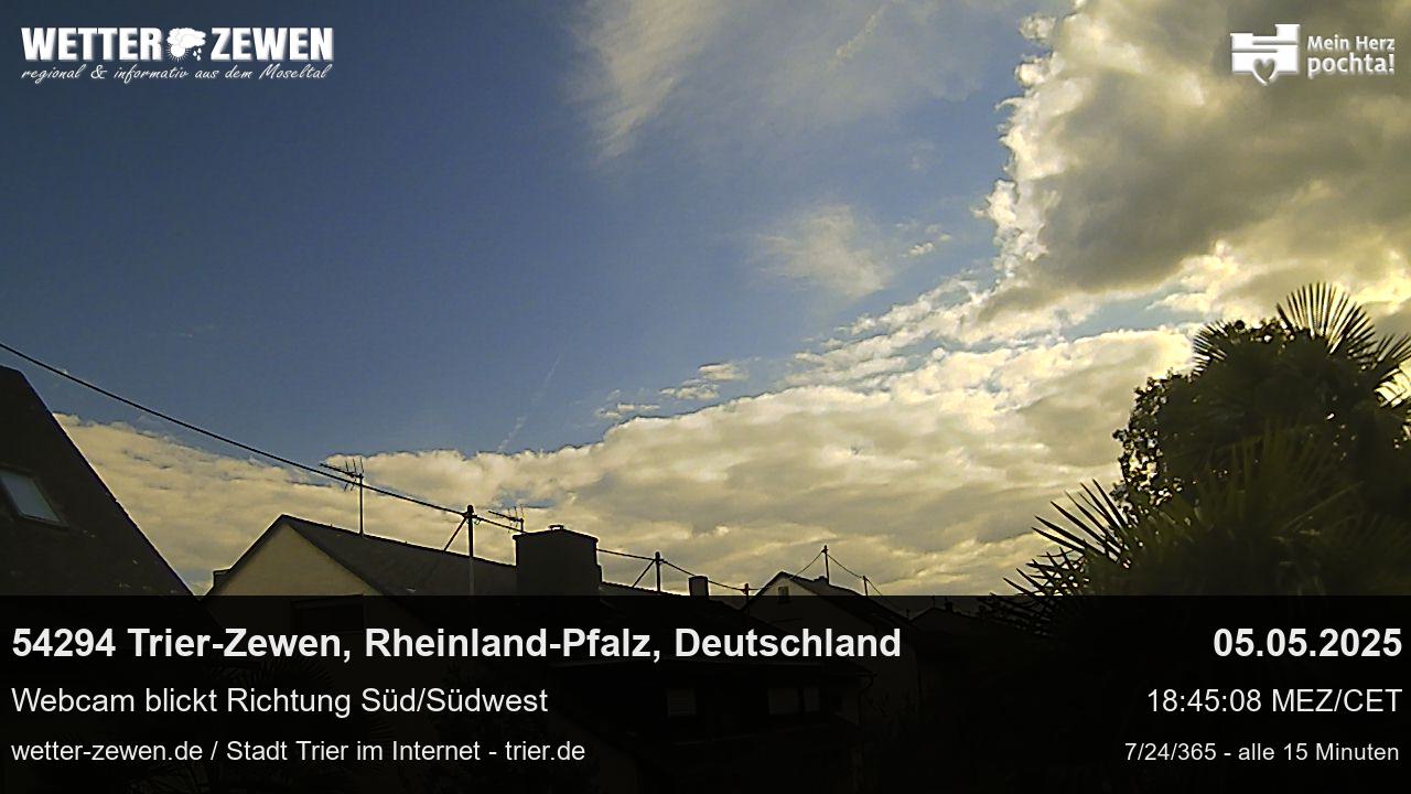 Bild