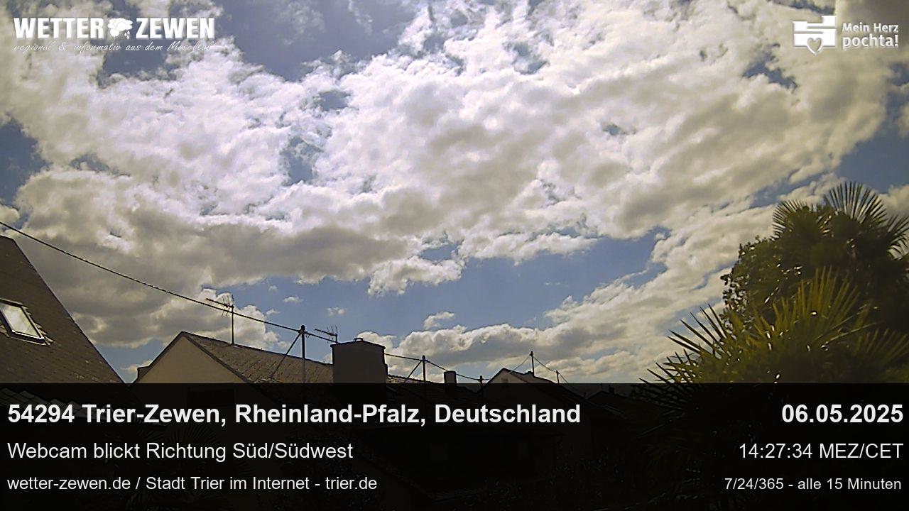 Bild