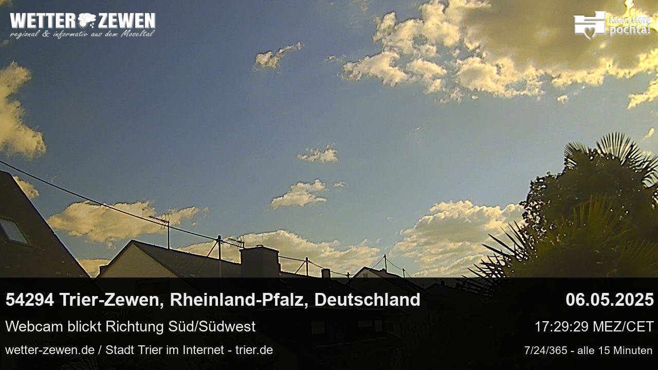 Bild