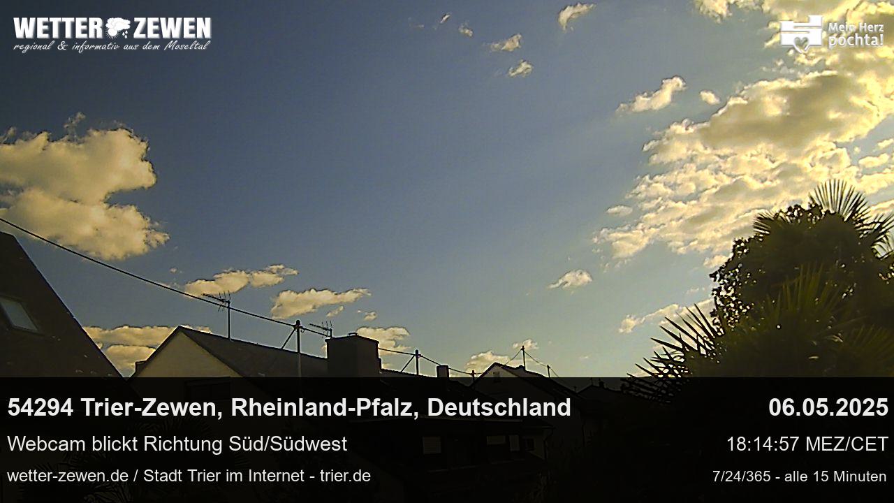Bild