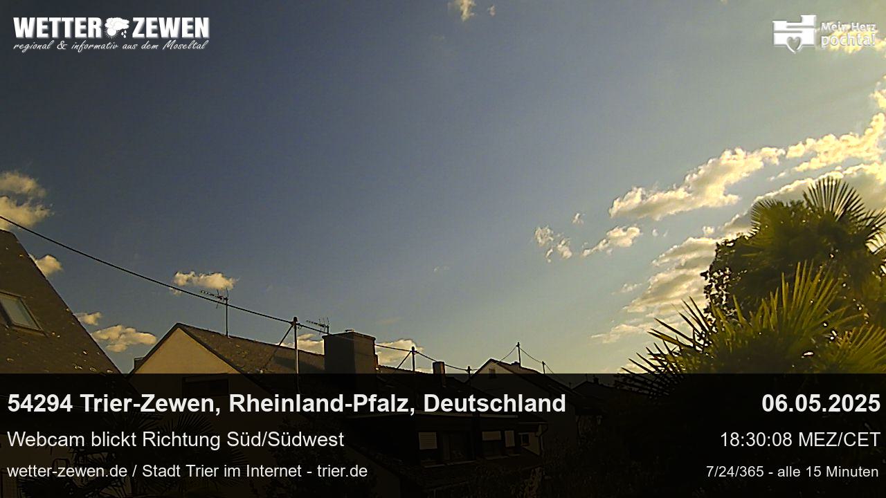 Bild