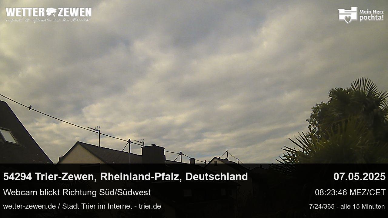 Bild