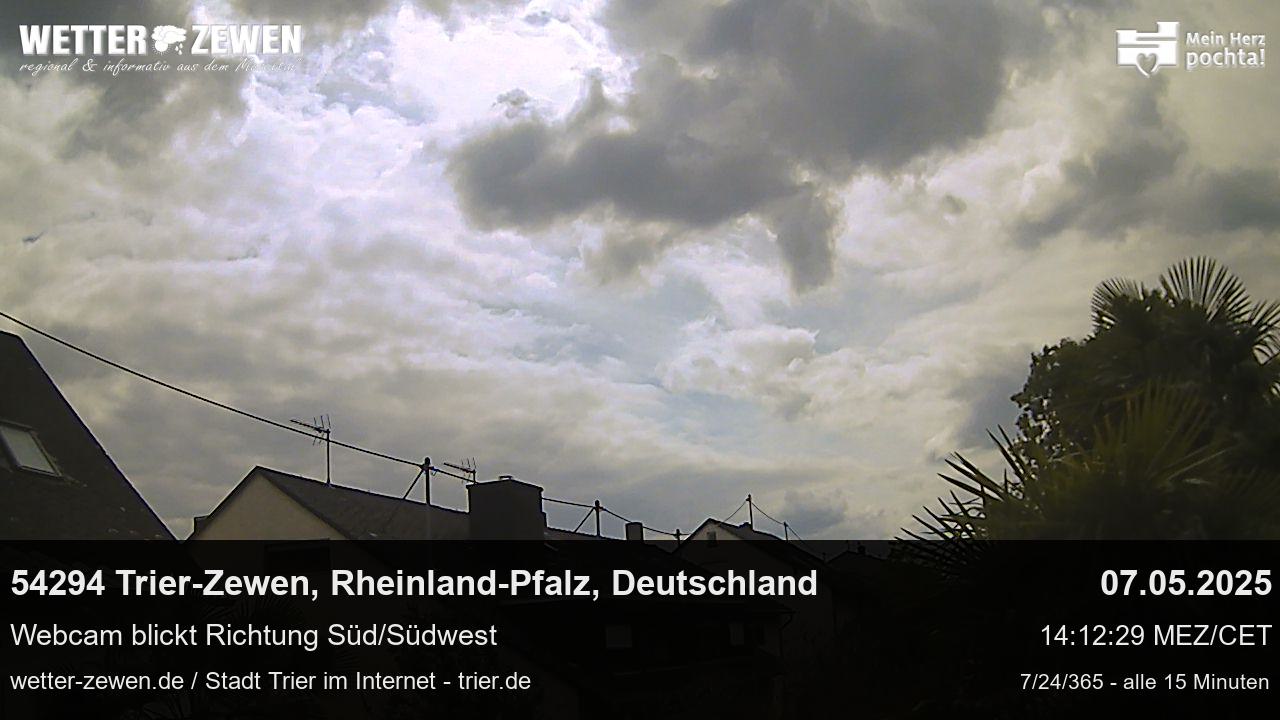 Bild