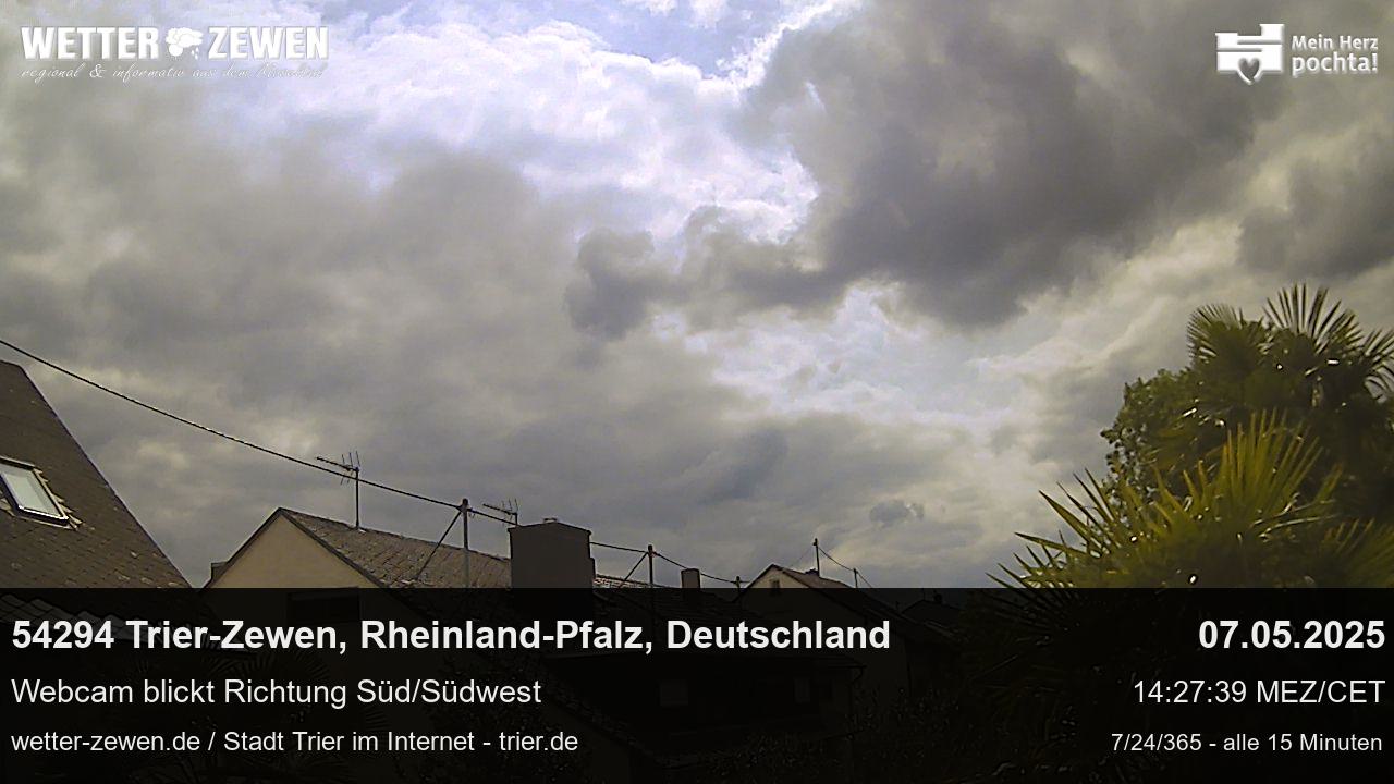 Bild