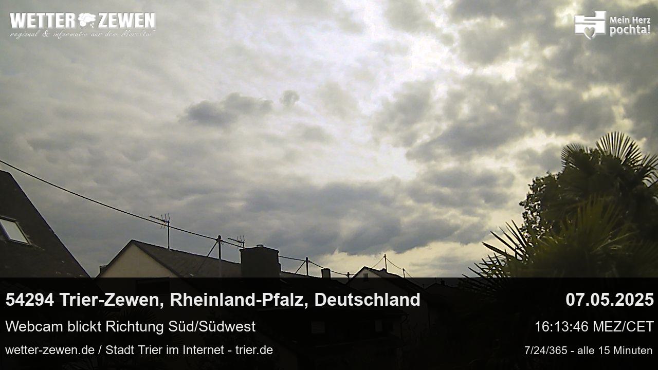 Bild