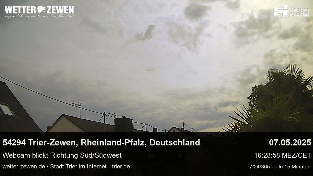 Bild