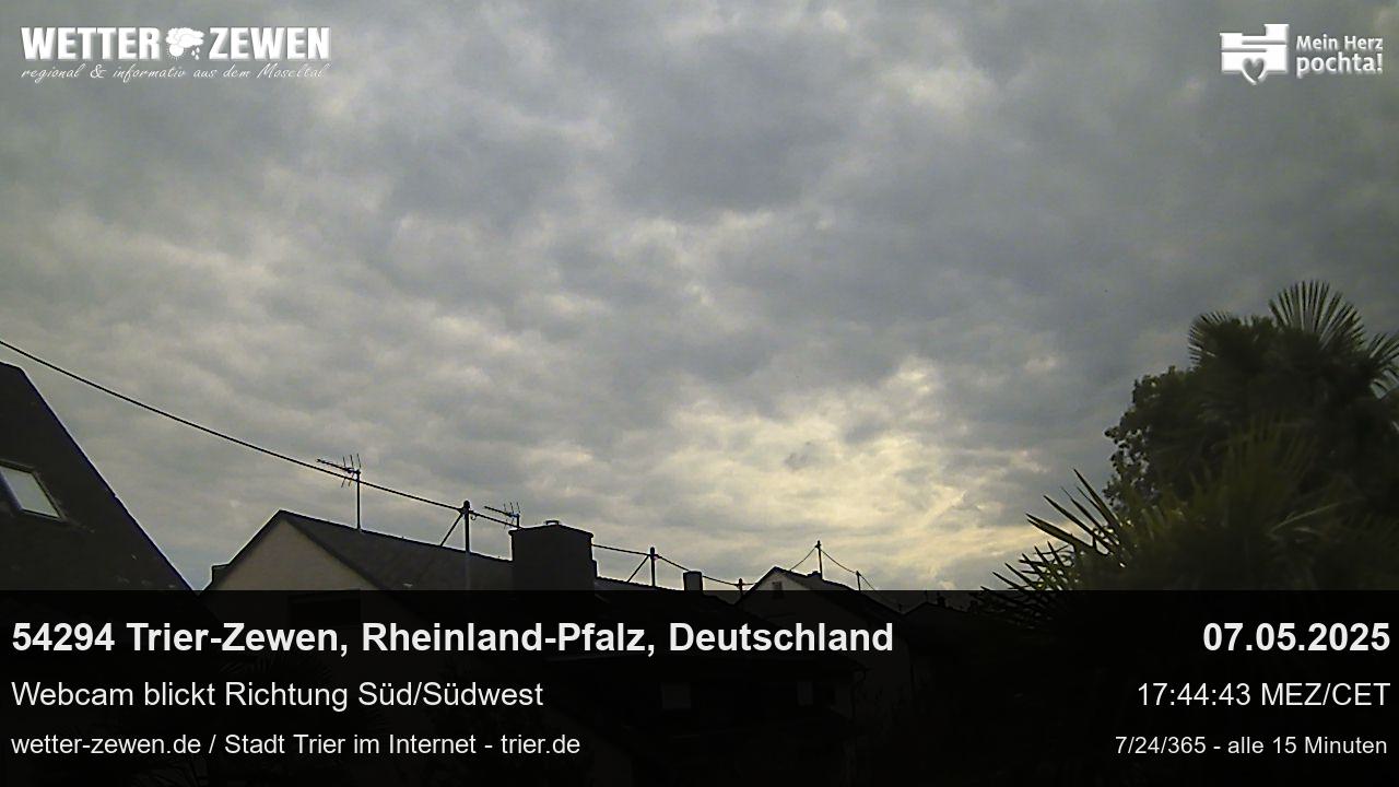 Bild