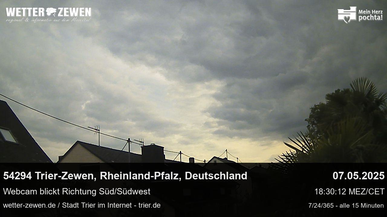Bild