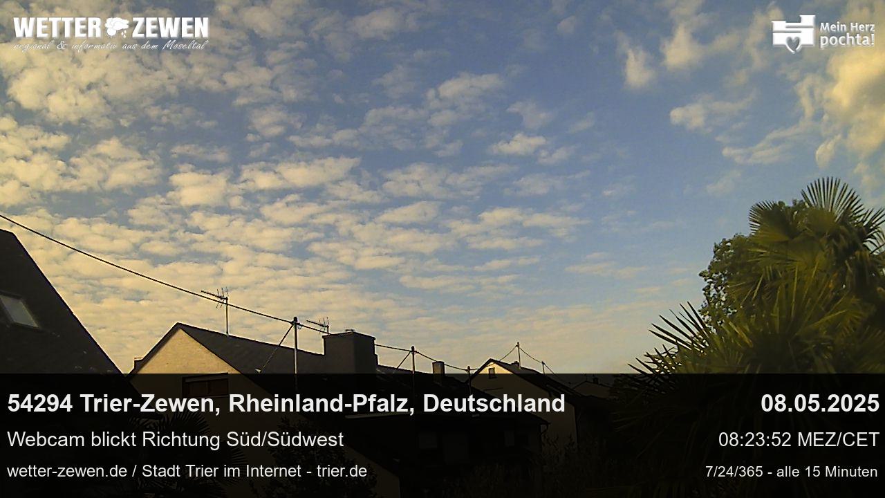 Bild
