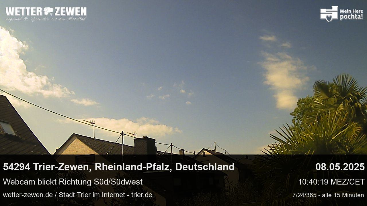 Bild
