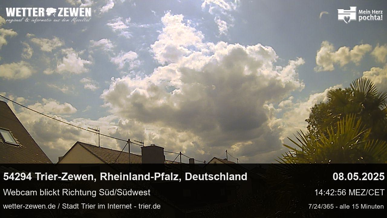 Bild