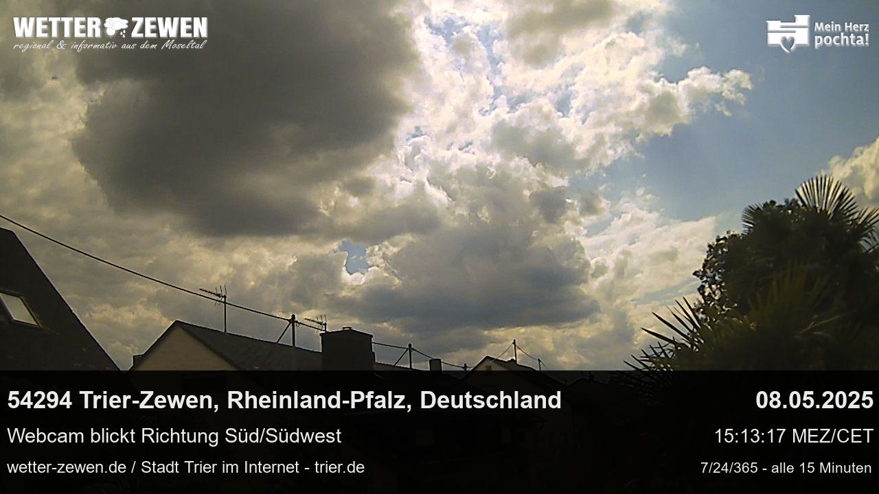 Bild