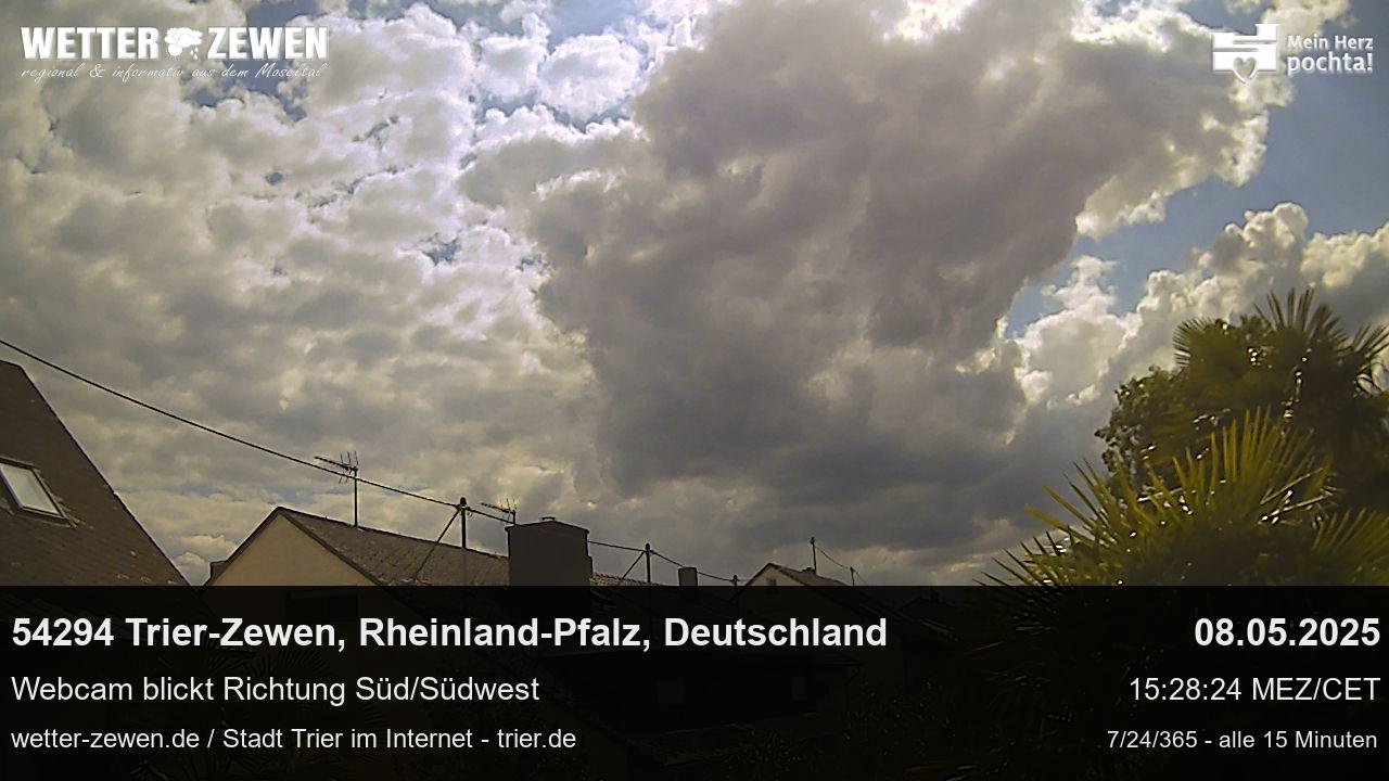 Bild