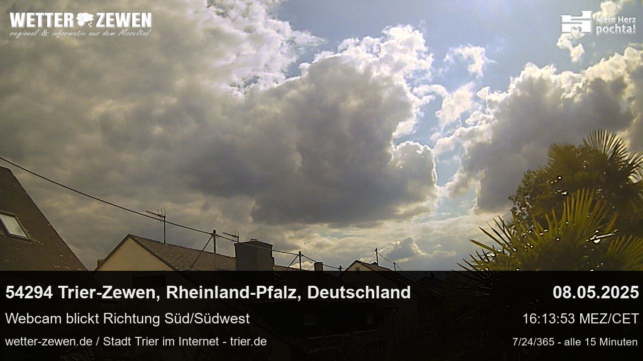 Bild