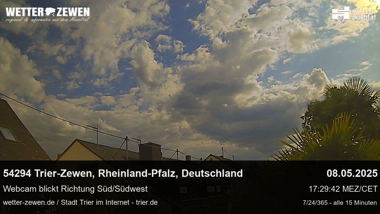Bild