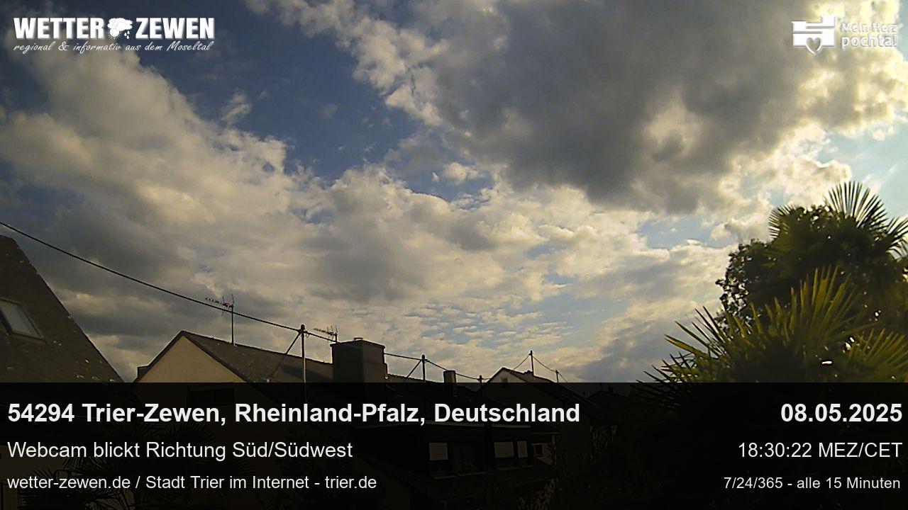 Bild