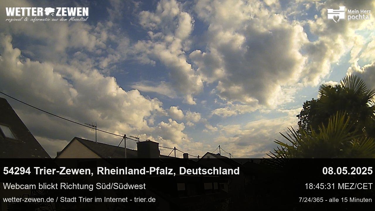 Bild
