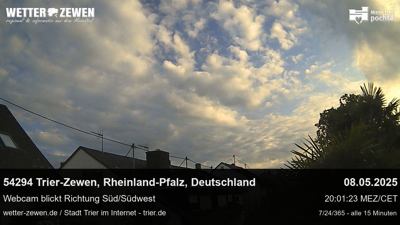 Bild