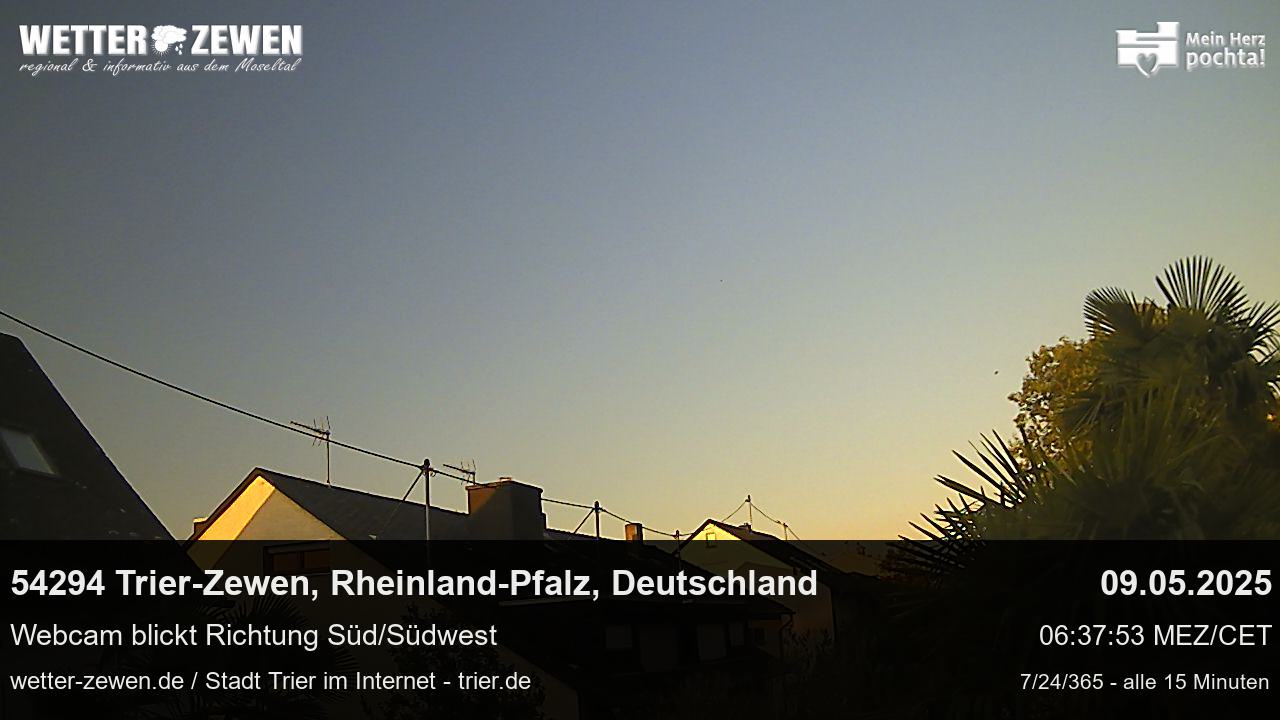 Bild