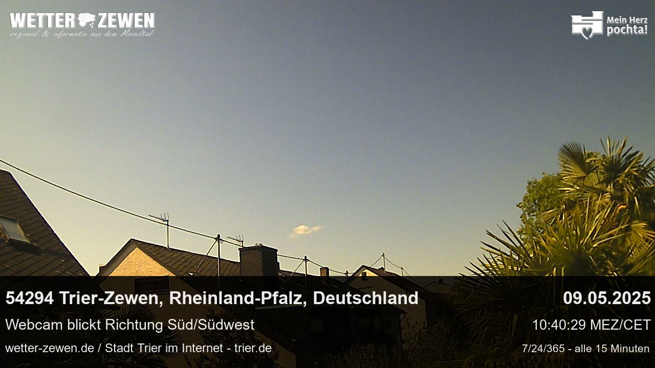 Bild
