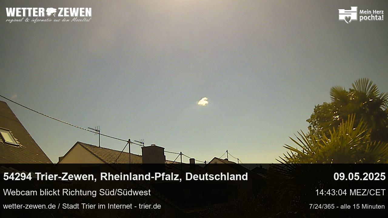 Bild