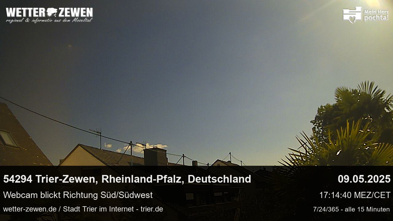 Bild