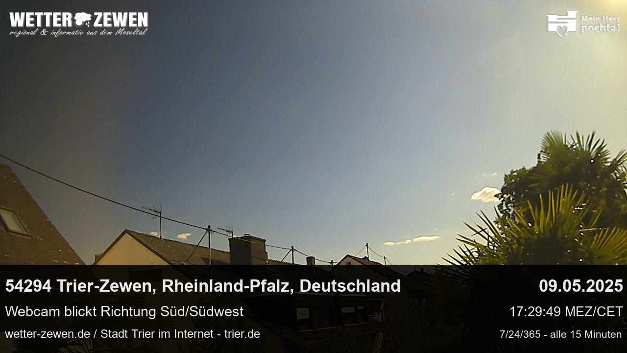 Bild