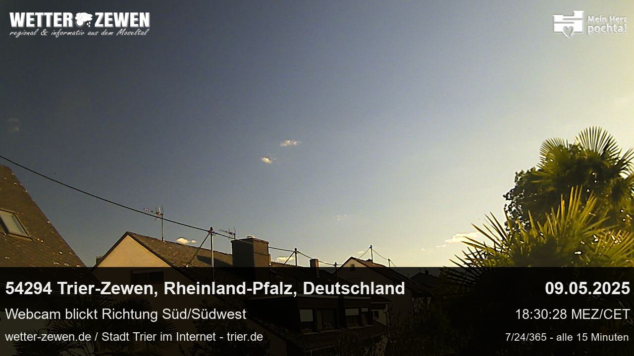 Bild