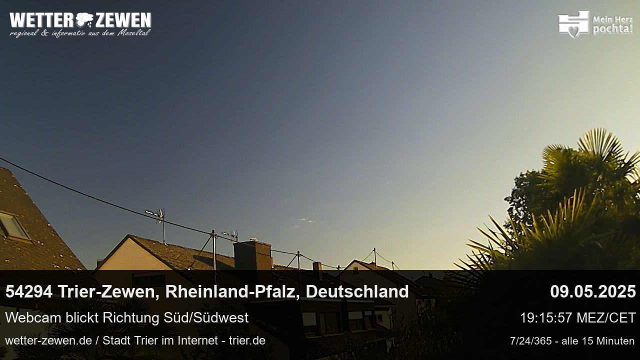 Bild