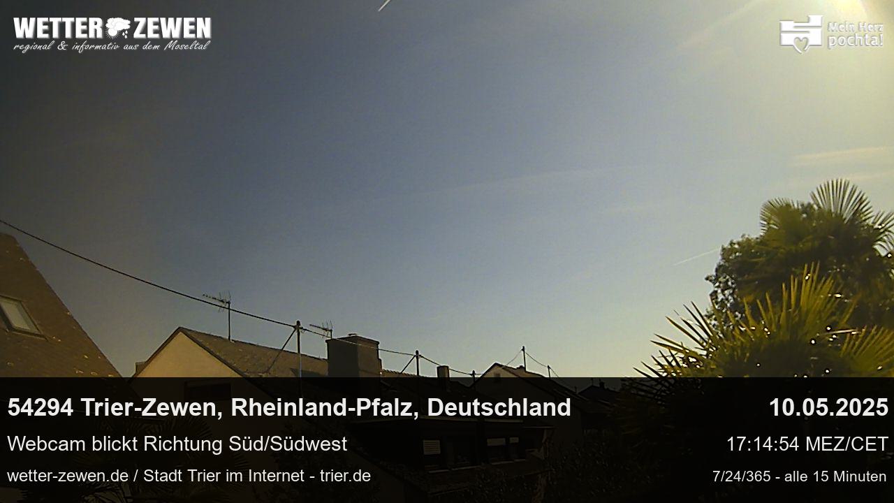 Bild