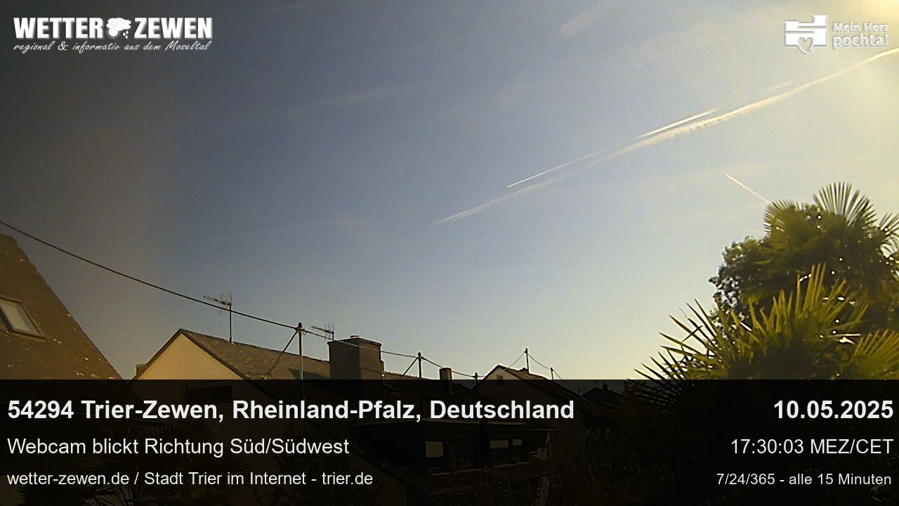 Bild