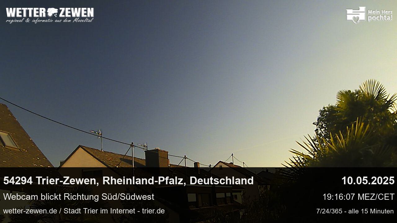 Bild
