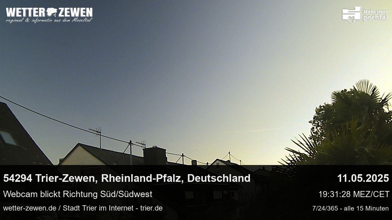 Bild