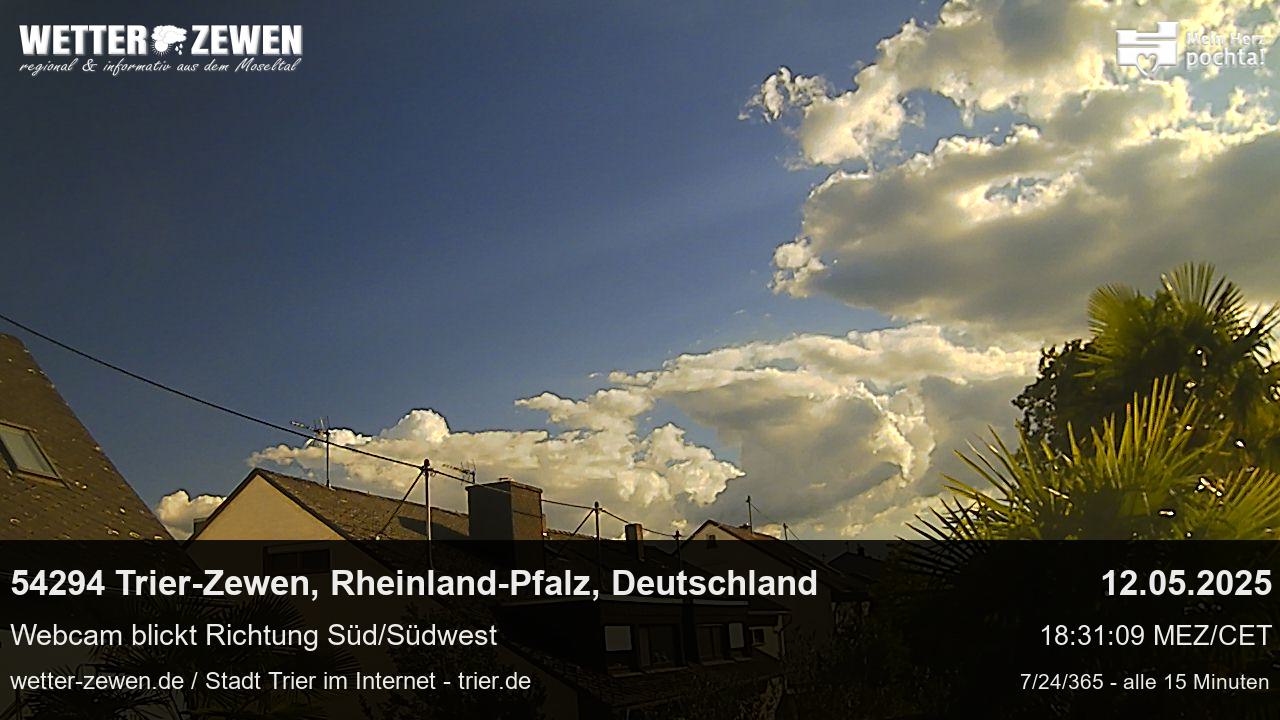 Bild