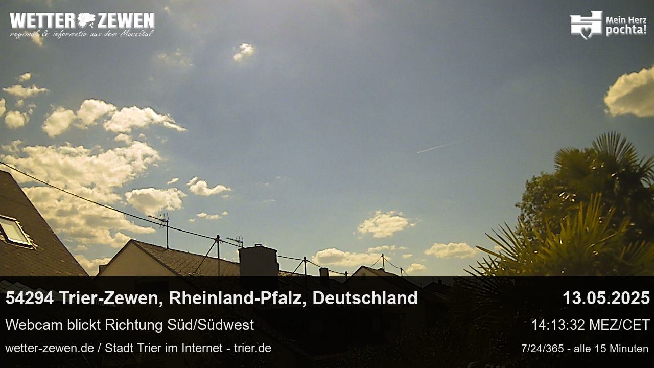 Bild