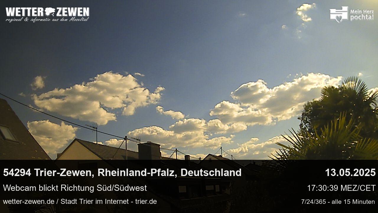 Bild