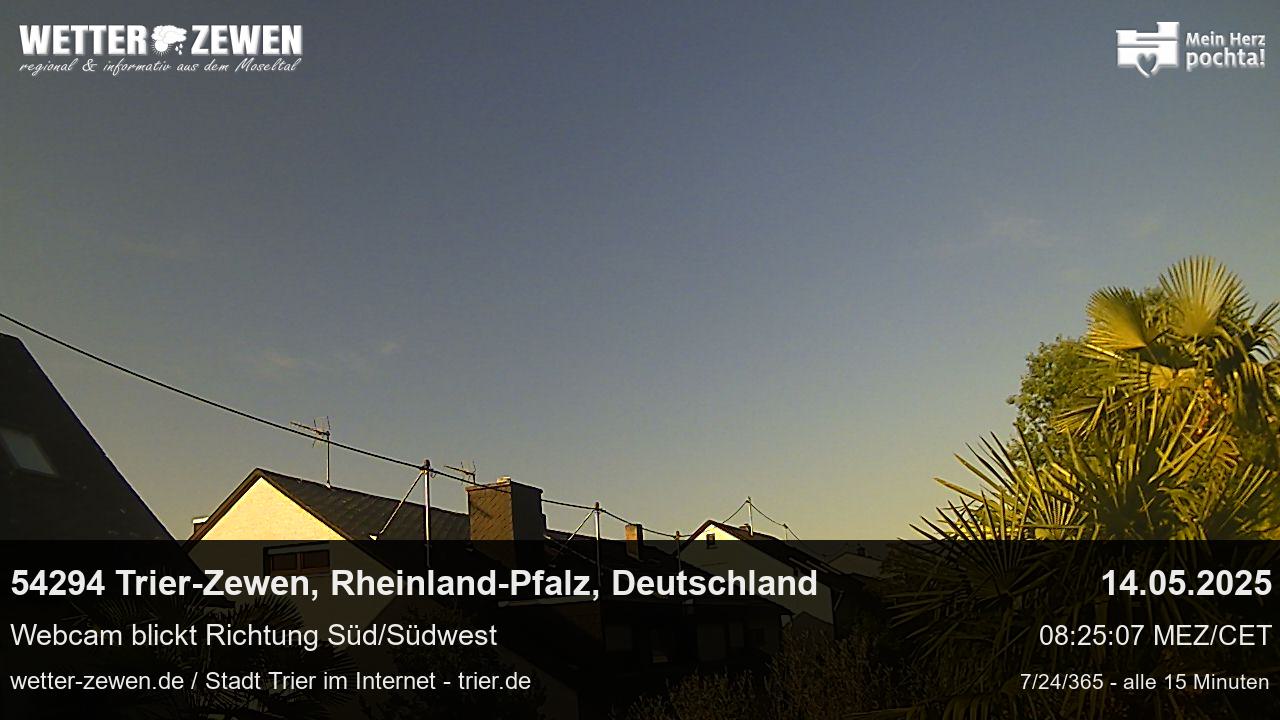 Bild