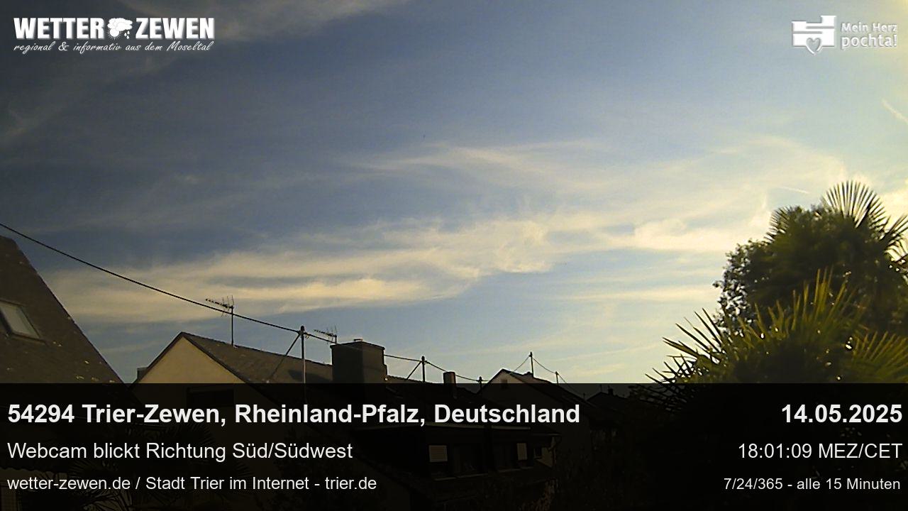 Bild