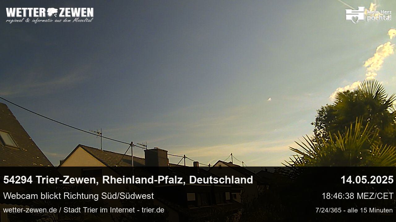 Bild