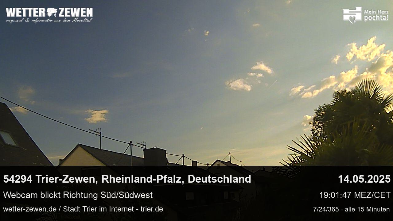 Bild