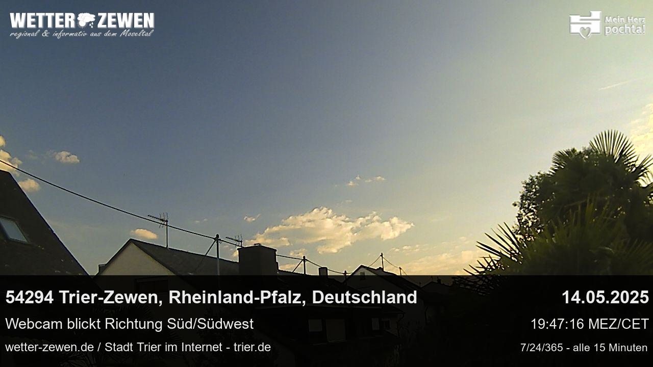 Bild