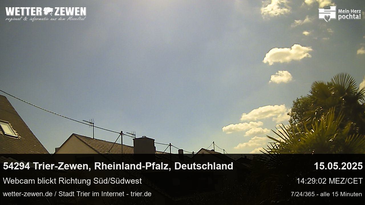 Bild