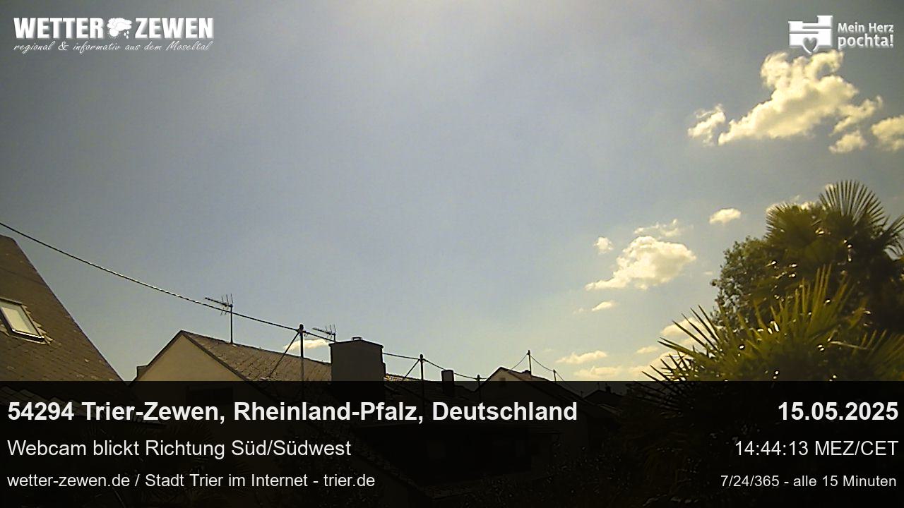 Bild